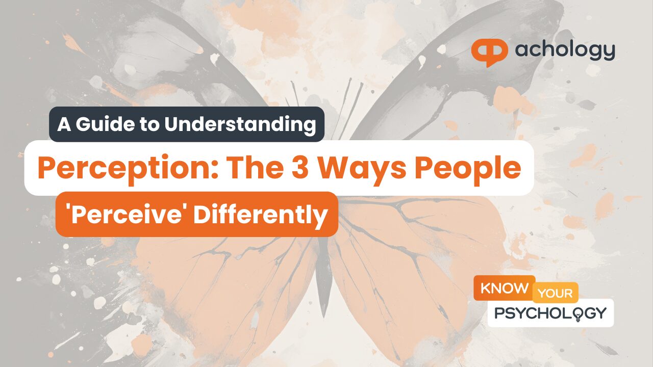 A Guide to Understanding Perception